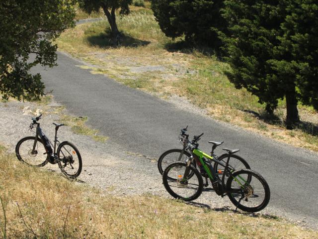 Trs Vtt Elec