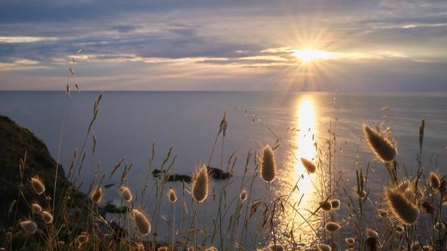 Faune Flore Mer Méditerranée Lever Soleil