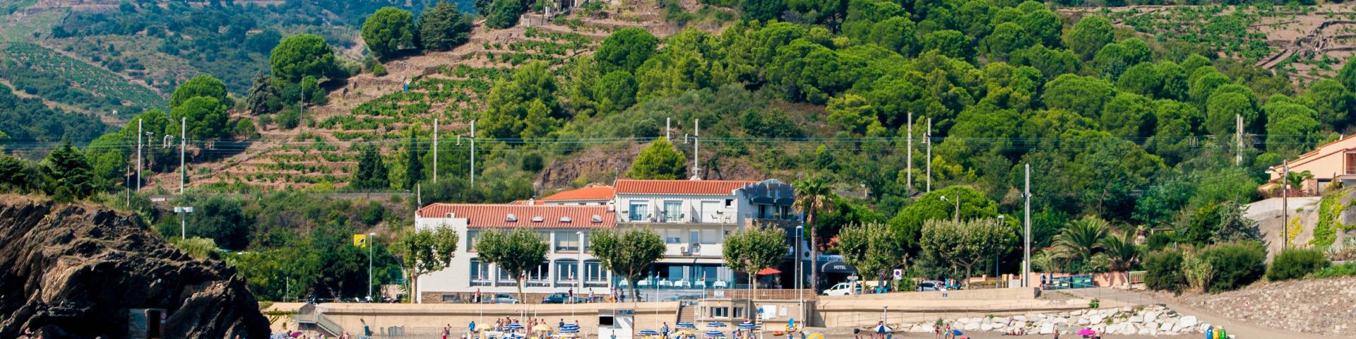 Banyuls sur mer dans les Pyrénées-Orientales vu de la mer