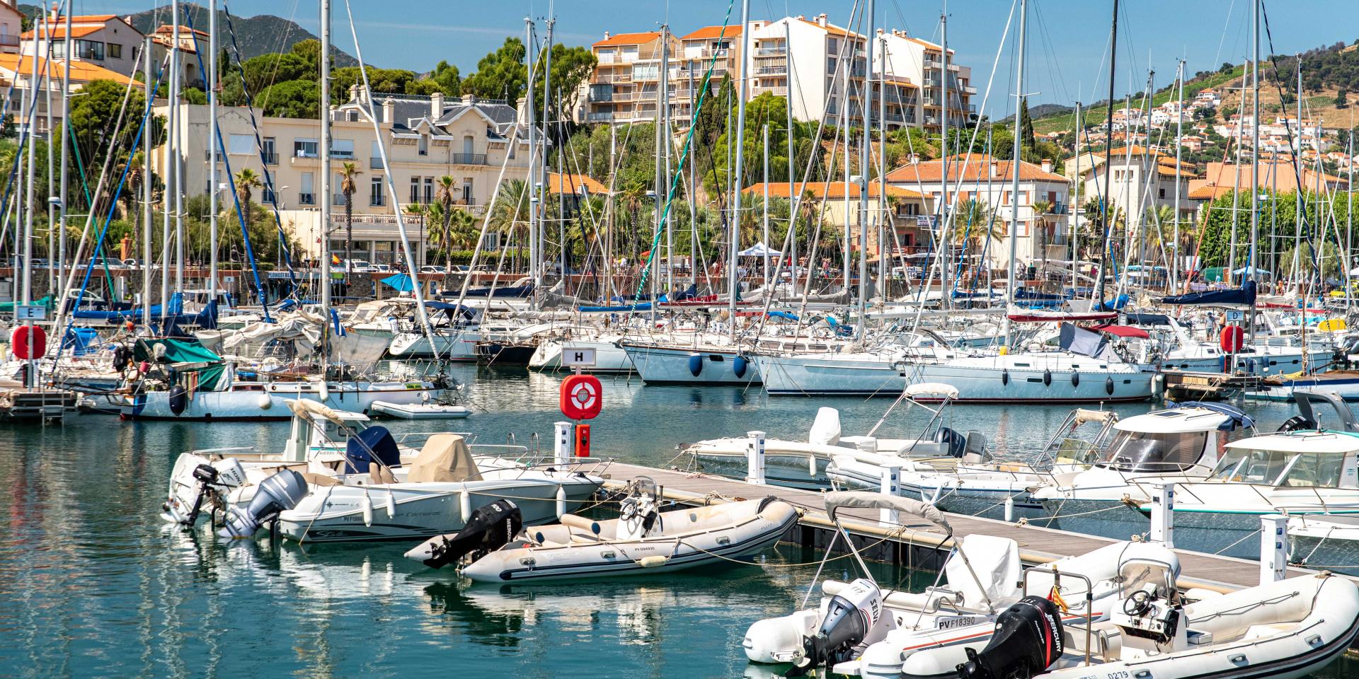 Le Port | Banyuls-sur-Mer