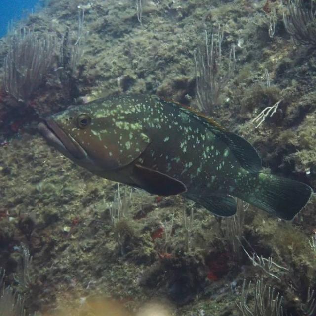 Instagram #banyuls