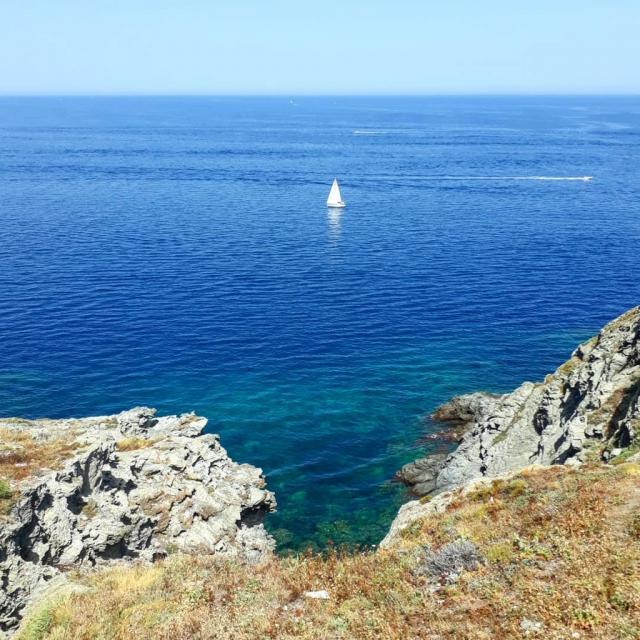Instagram #banyulssurmer