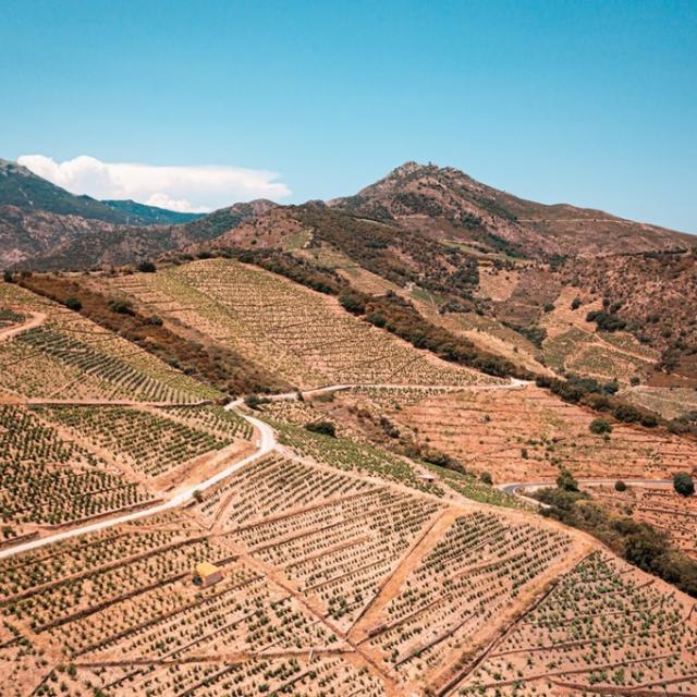 Instagram #banyuls