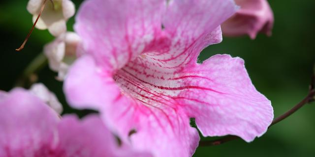 Dscf0846