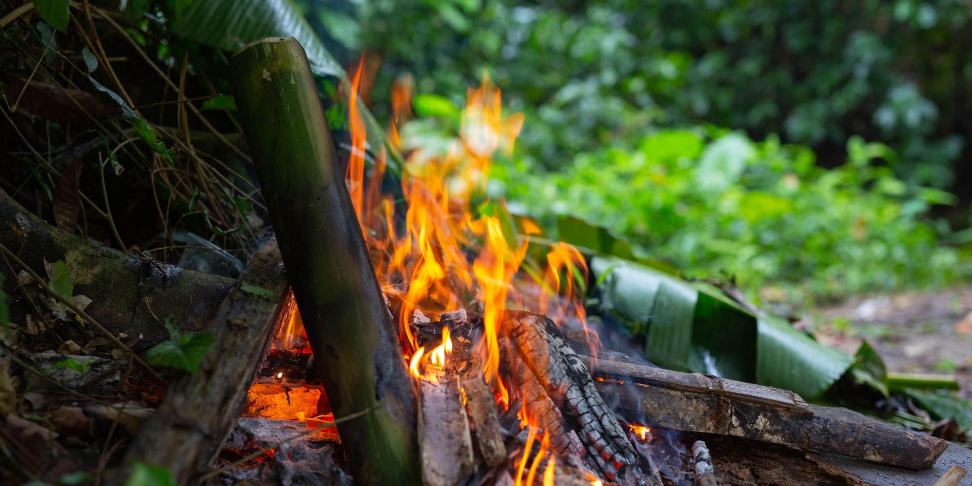 Allumer Feu Dans Foret Pour Camping Min