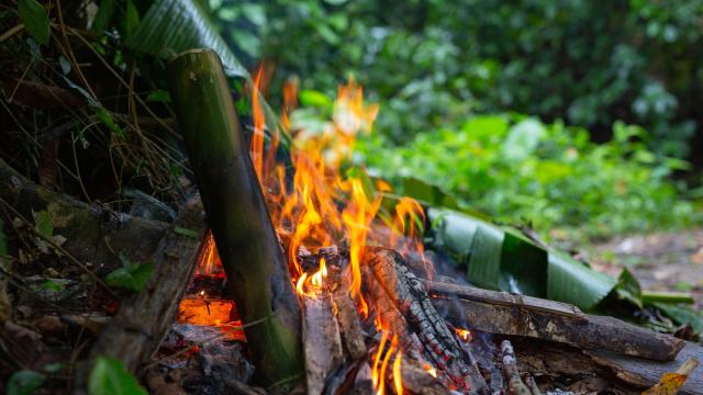 Allumer Feu Dans Foret Pour Camping Min