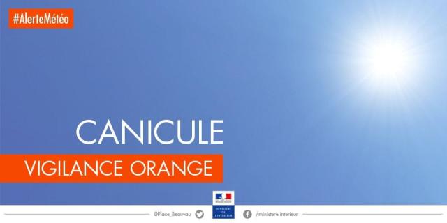 Canicule