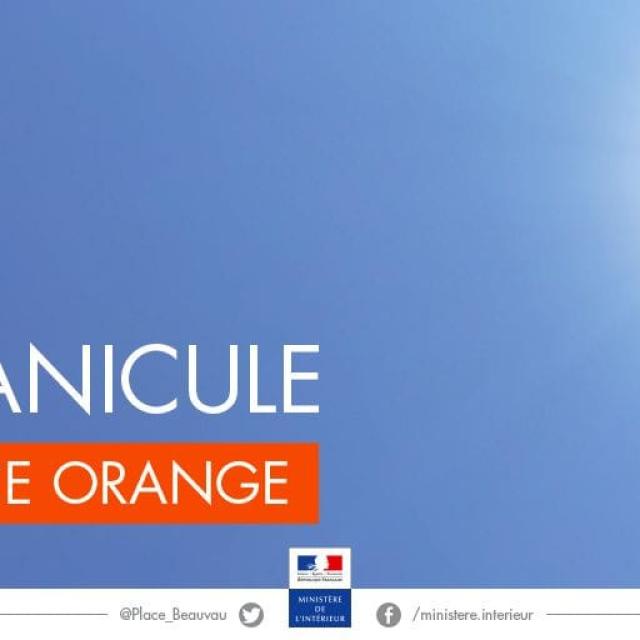 Canicule