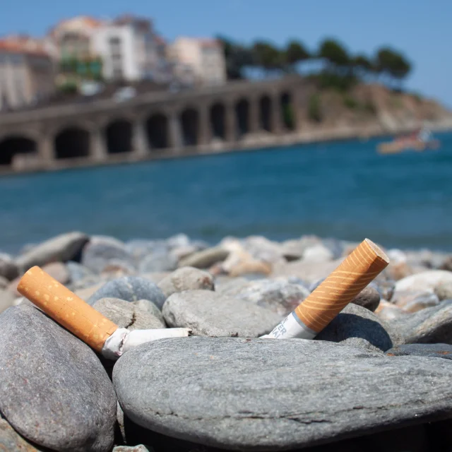 Photo Megots Plage Banyuls