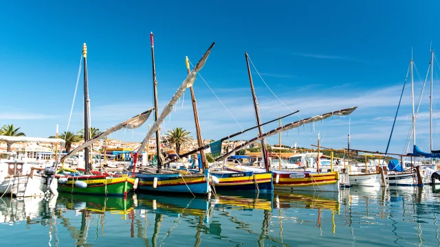 Barques catalanes dans le port de Banyuls sur Mer
