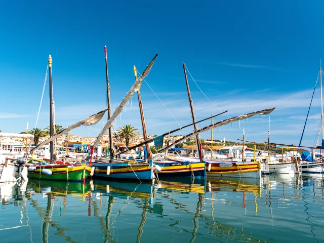 Barques catalanes dans le port de Banyuls sur Mer