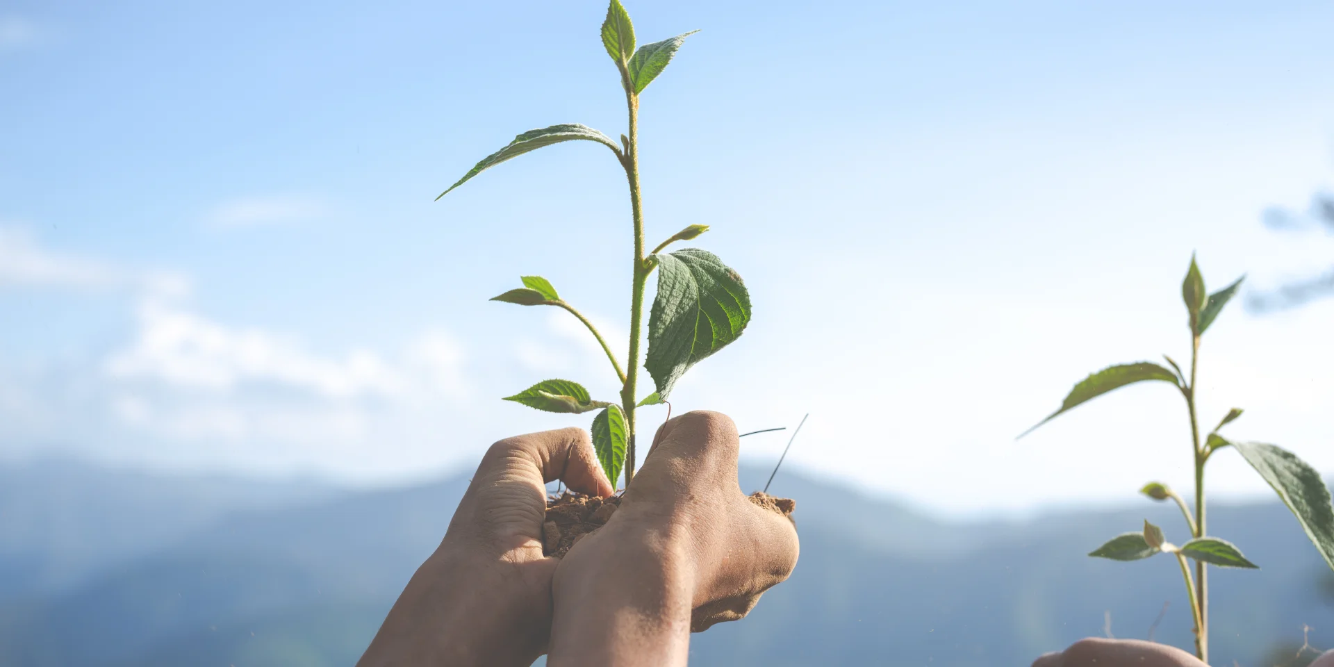 Concept of environmental conservation in the garden for children.