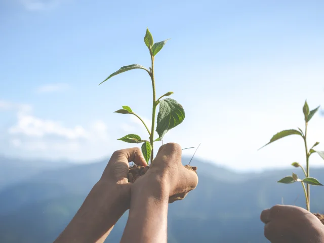Concept of environmental conservation in the garden for children.