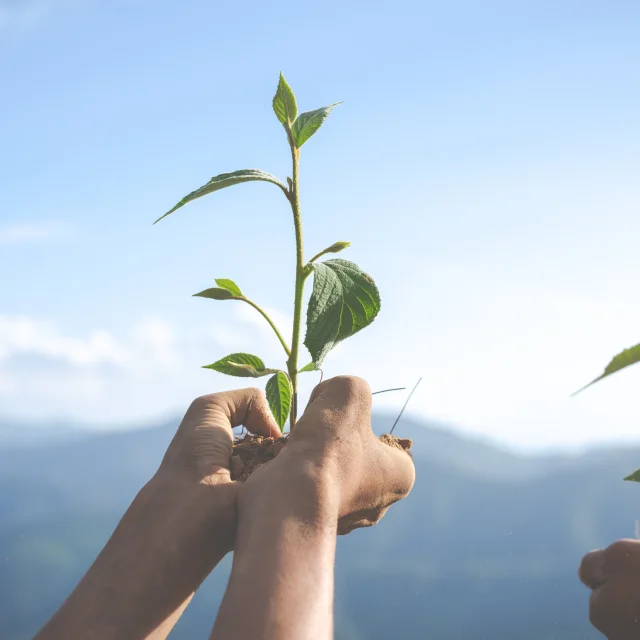 Concept of environmental conservation in the garden for children.