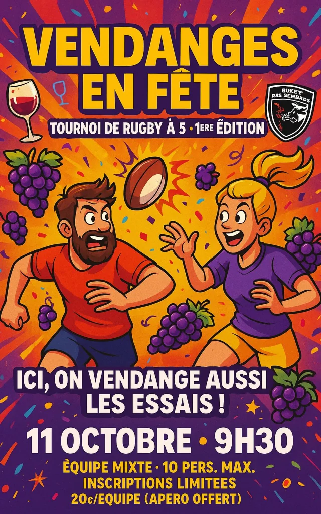 Tournoi Rugby 11 10 25