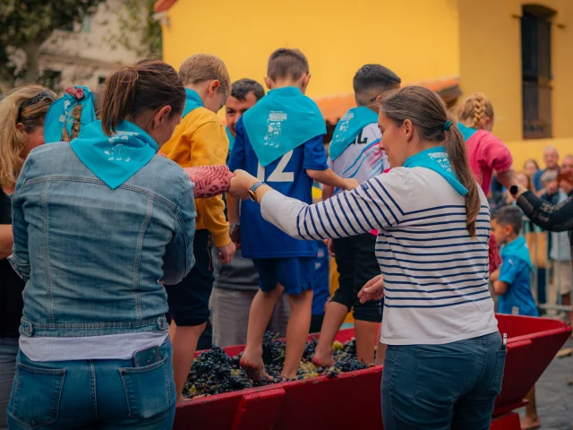 Vef Pressurage Enfants 2024 31