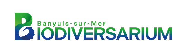 biodiversarium-banyuls