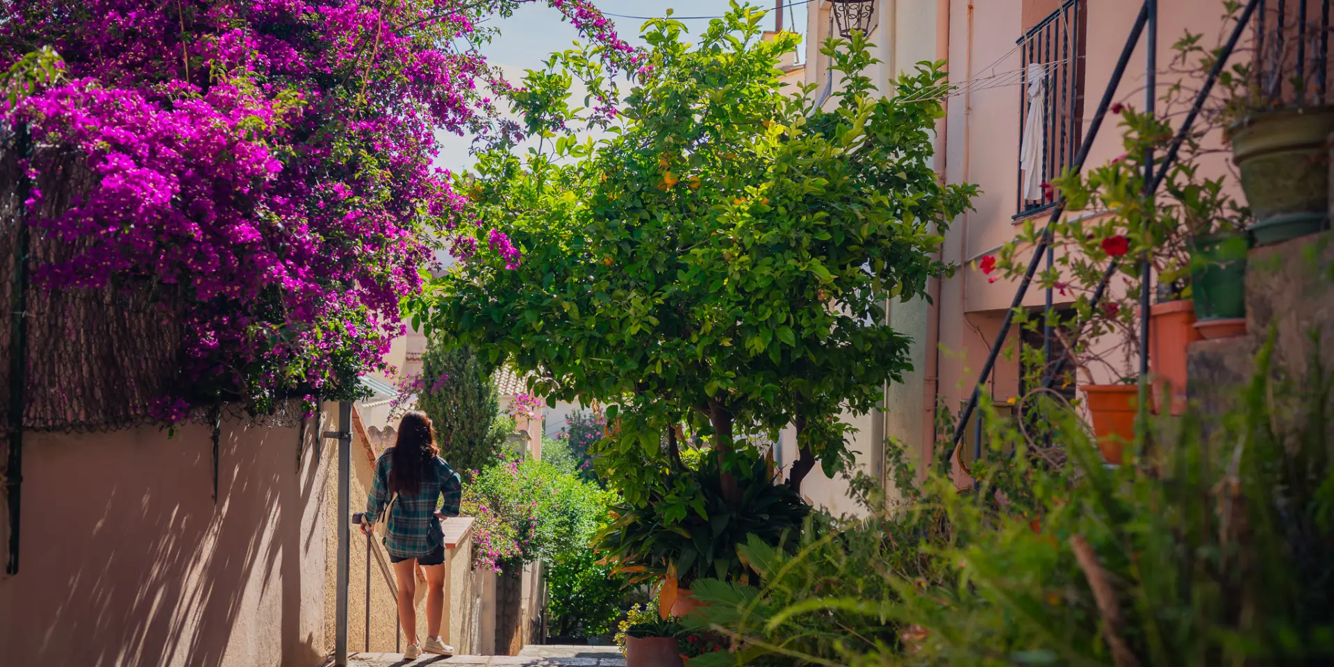 Permis de végétaliser Banyuls