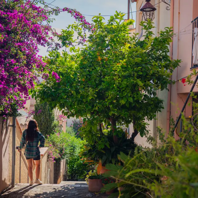 Permis de végétaliser Banyuls