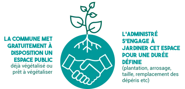 Permis Vegetaliser Banyuls Principe