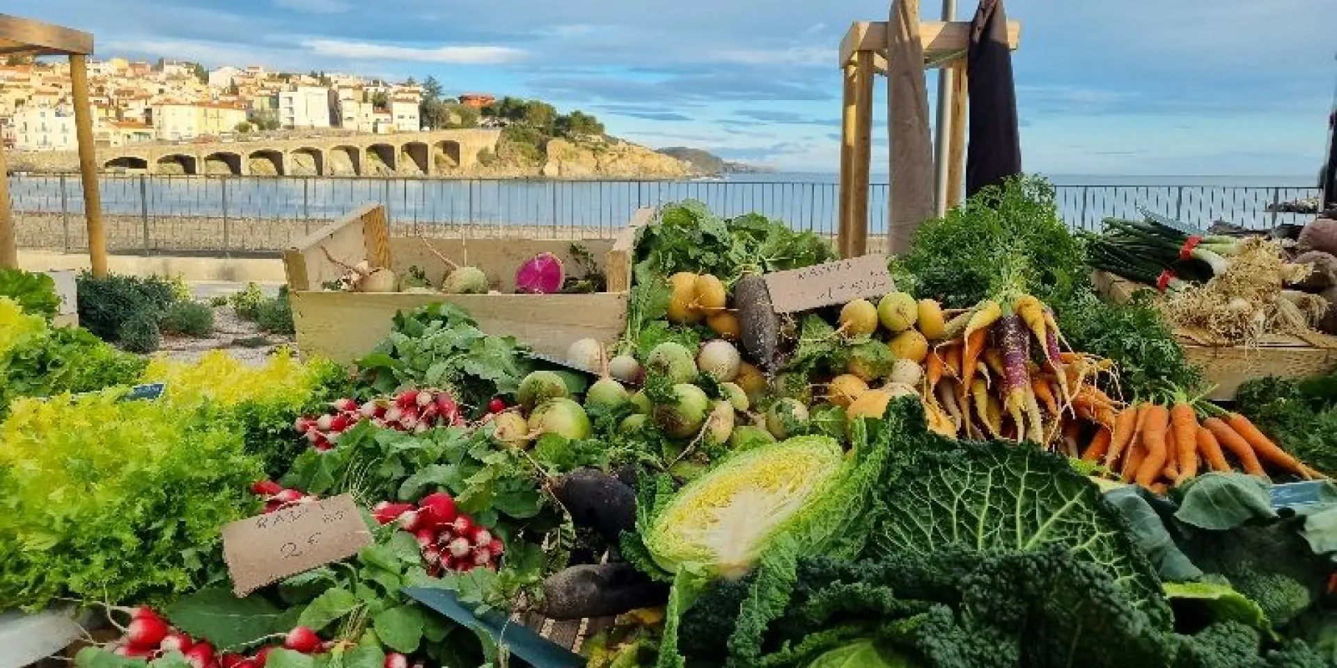 Marche Termine Octobre 2025 1