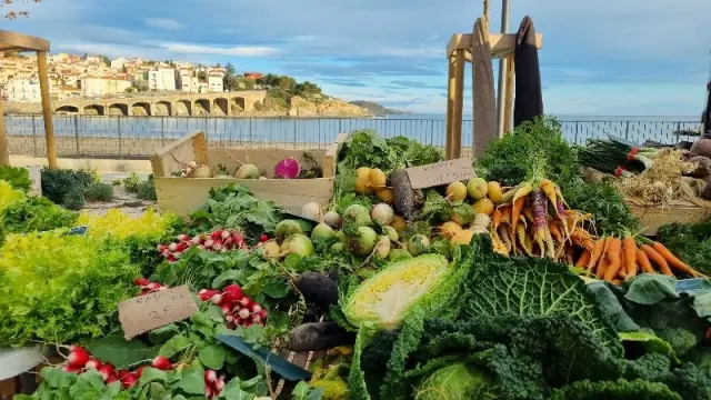 Marche Termine Octobre 2025 1