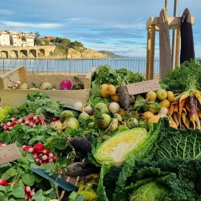 Marche Termine Octobre 2025 1