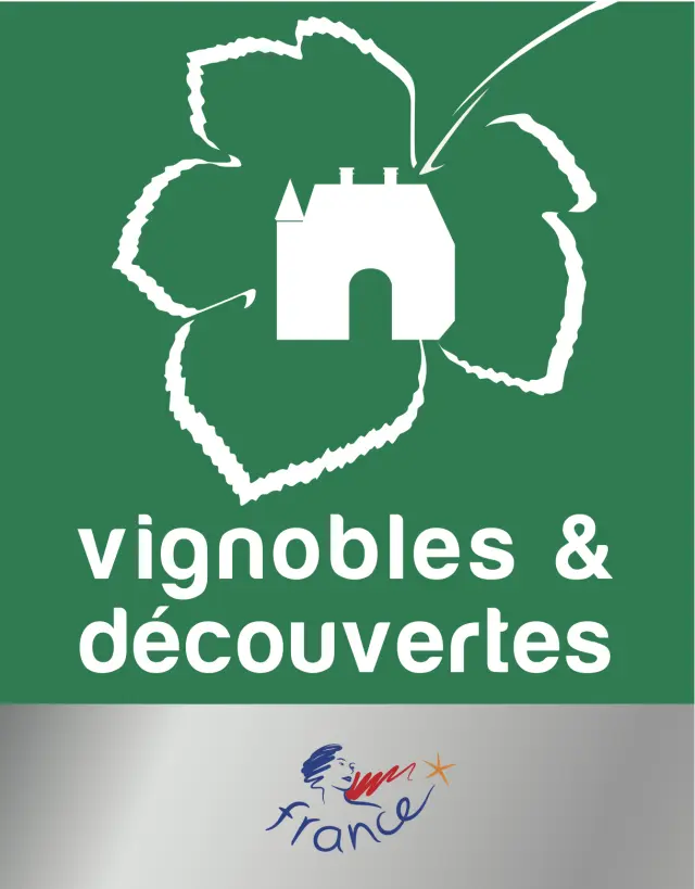 Logo Vignoblesetdecouvertes Contour Blanc Quadri