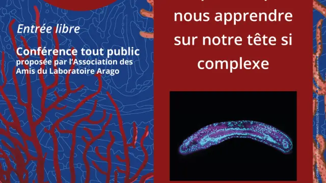 11 02 26 Affiche Bertrand