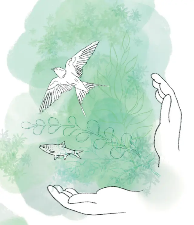 Baillaury-banyuls-biodiversité