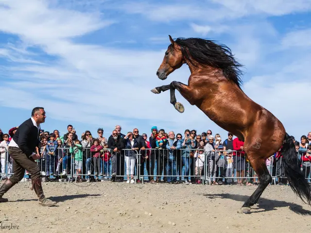 32169643 10211787059297417 3636442753895759872 O