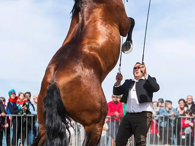 32207738 10211787056977359 6035022842993573888 N