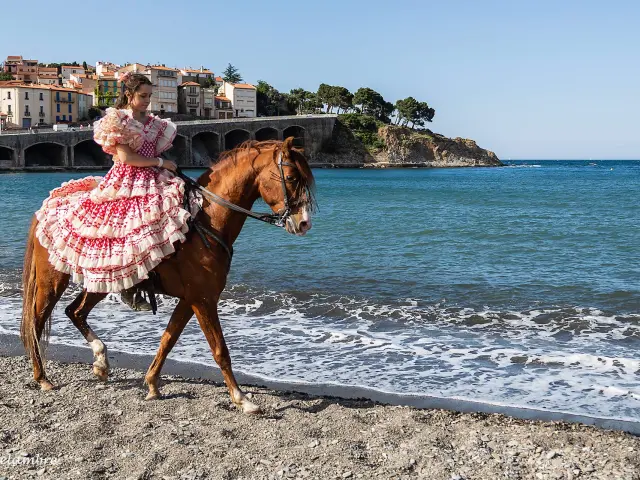 32266544 10211787268982659 5202176637885480960 O