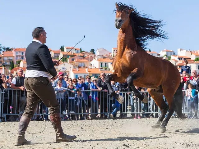 32266553 10211787058777404 356328972415401984 O