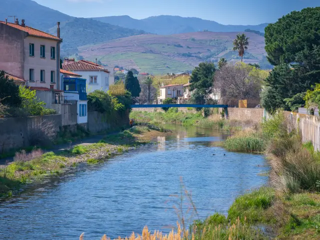 Baillaury-banyuls-renaturation