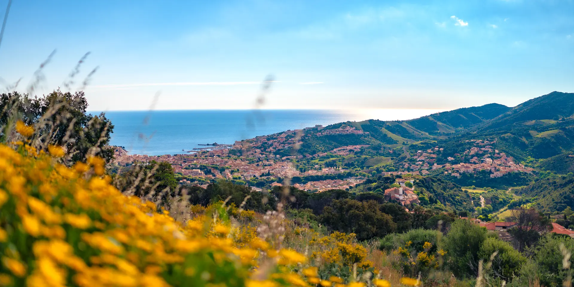 Banyuls Panorama Terre Mer 1