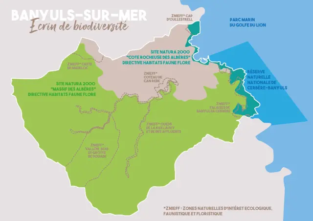 Carte Situation Zones Protegees Banyuls