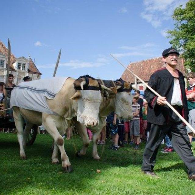 Foire de la Blonde d'Aquitaine