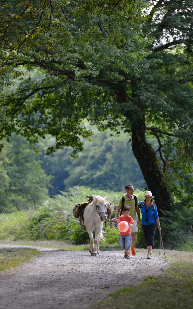 Randonnée avec un pottok Béarn des Gaves