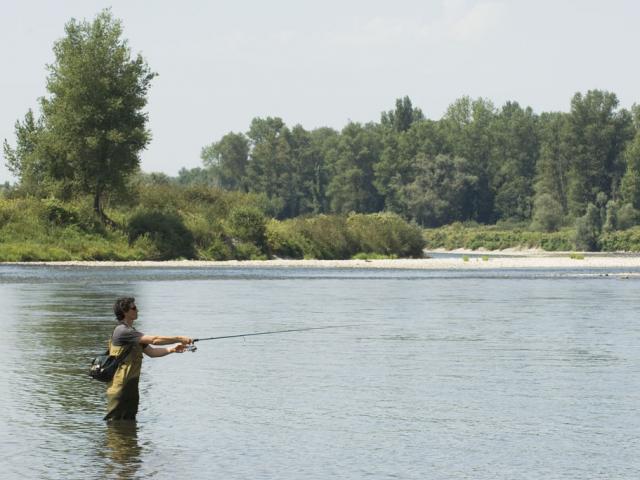 Pêcheur sur le gave de Pau