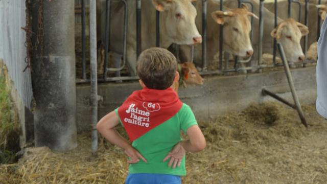 Apprenti Eleveur (1)