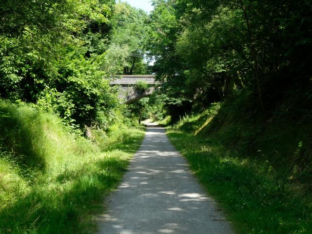 L'allée verte de Salies-de-Béarn