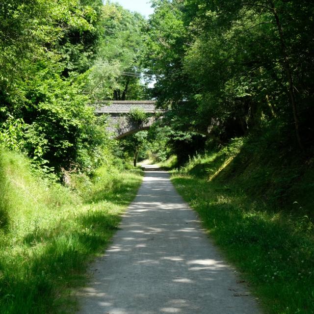 L'allée verte de Salies-de-Béarn