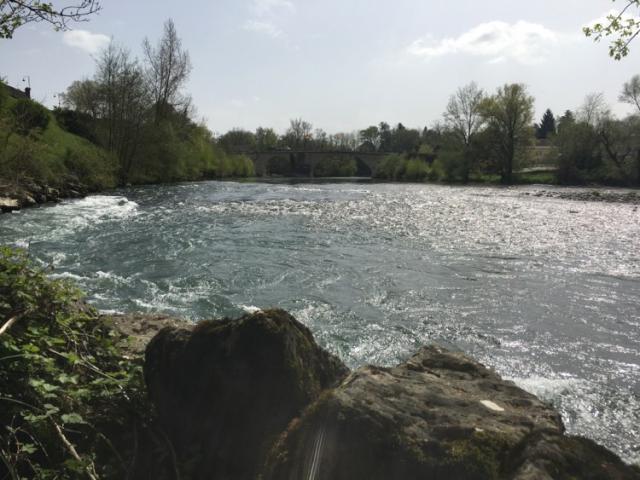Le gave d'Oloron à Navarrenx