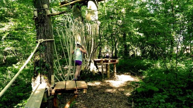 Galerie Foret Vert Tiges
