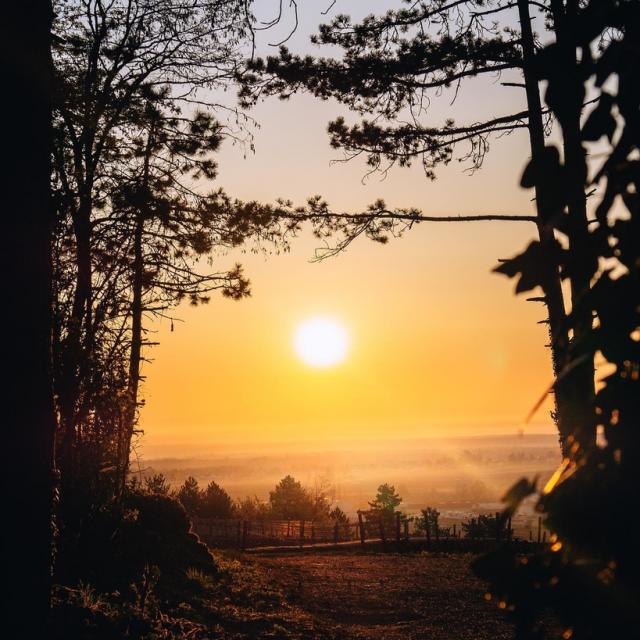 Sonnenuntergang am Montagne de Beaune