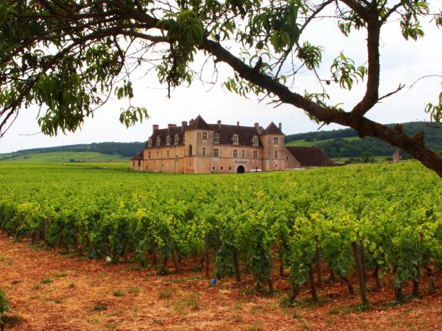 Chateau Clos Vougeot (7)