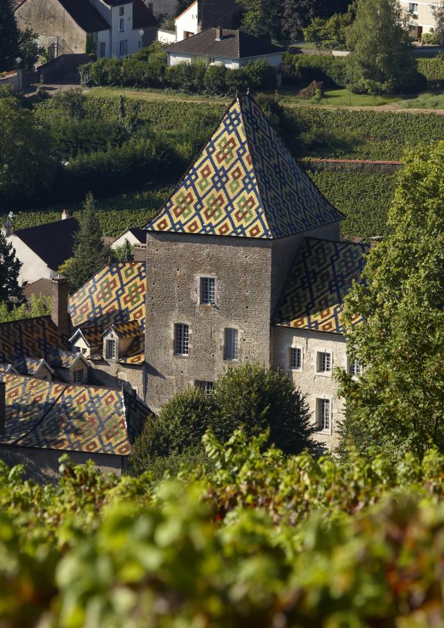Chateau Santenay