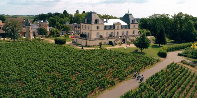 Cueillette Meursault