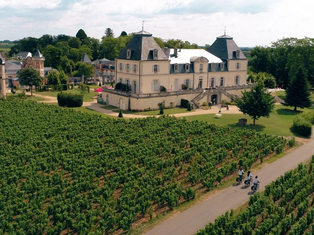 Cueillette Meursault